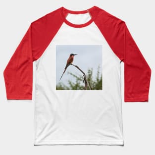 Southern Carmine Bee-Eater Baseball T-Shirt